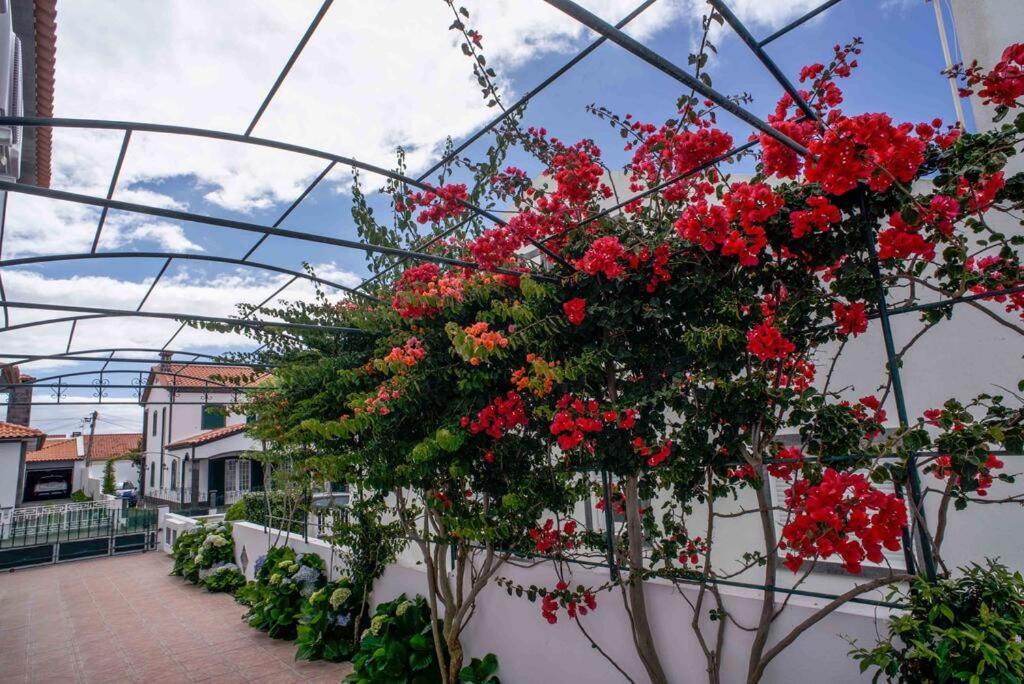 Ferienwohnung Vivenda Glorize Água de Alto Exterior foto
